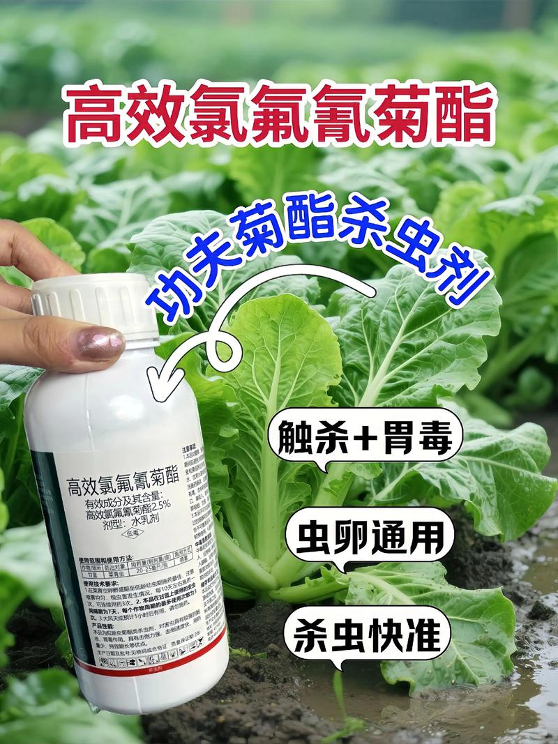 可克达拉代生中心:农药对供卵代生妈妈的危害